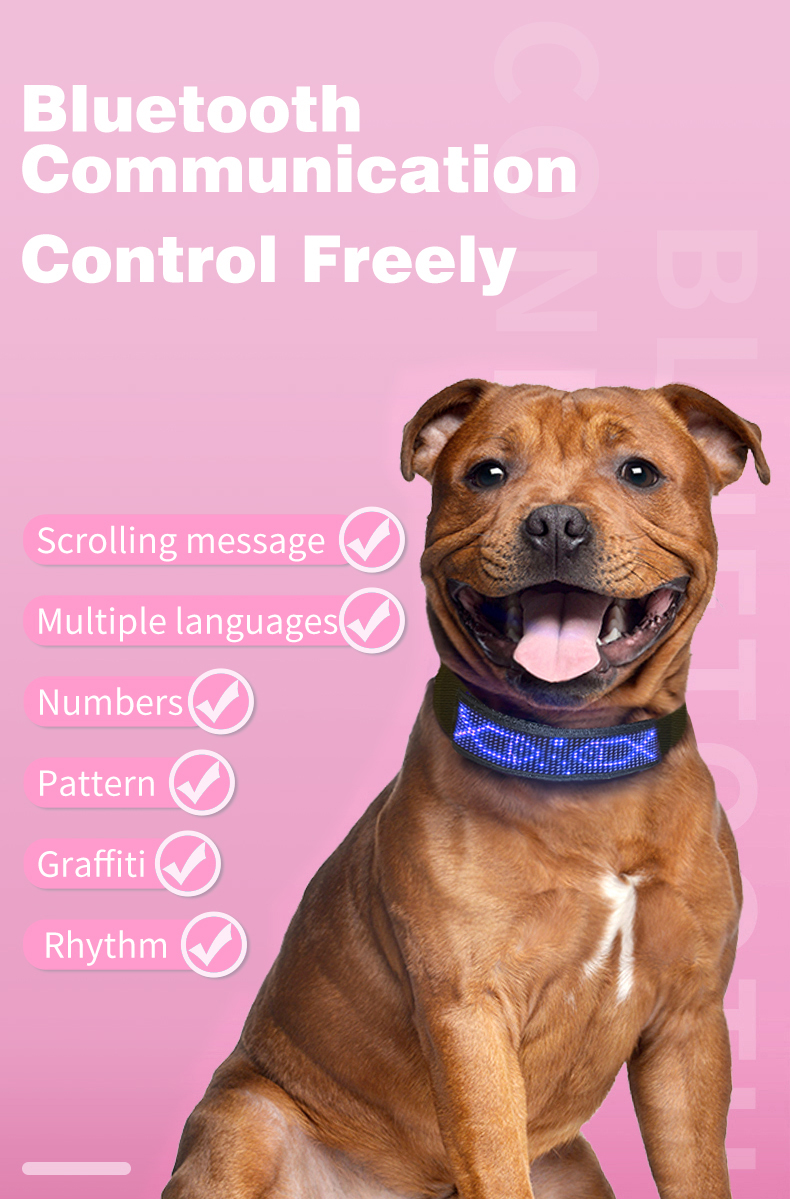 Waterproof Rechargeable LED Dog Collar | USB Charging Led Light Up Collar for Dog | Mobile App Display Control | Luxury Dog Collars - Image 6
