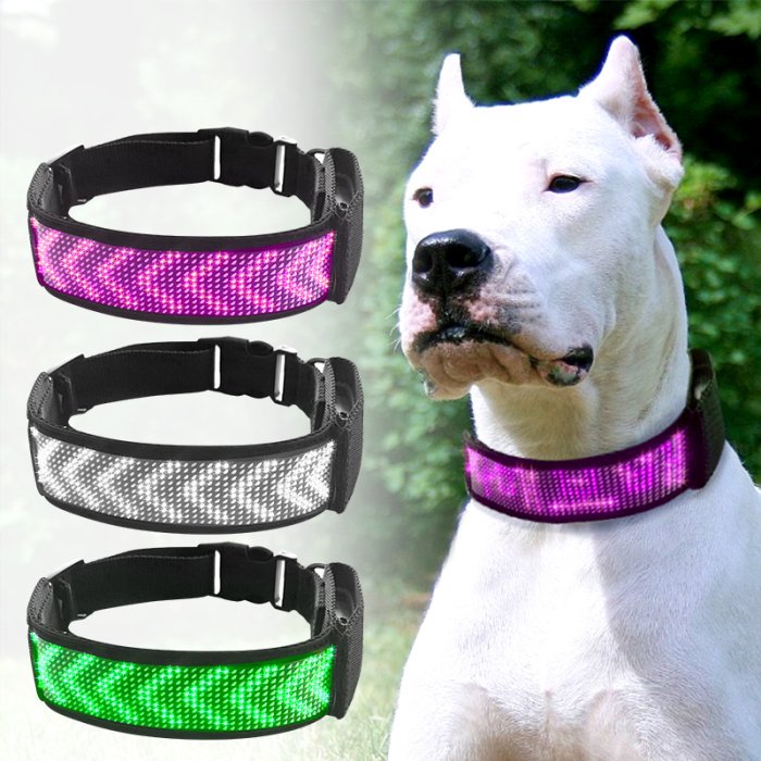 Waterproof Rechargeable LED Dog Collar | USB Charging Led Light Up Collar for Dog | Mobile App Display Control | Luxury Dog Collars - Image 14
