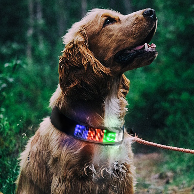 waterproof rechargeable led dog collar