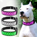 Waterproof Rechargeable LED Dog Collar | USB Charging Led Light Up Collar for Dog | Mobile App Display Control | Luxury Dog Collars - Image 14