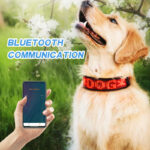 Waterproof Rechargeable LED Dog Collar | USB Charging Led Light Up Collar for Dog | Mobile App Display Control | Luxury Dog Collars - Image 4