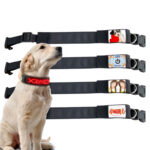 Waterproof Rechargeable LED Dog Collar | USB Charging Led Light Up Collar for Dog | Mobile App Display Control | Luxury Dog Collars - Image 7